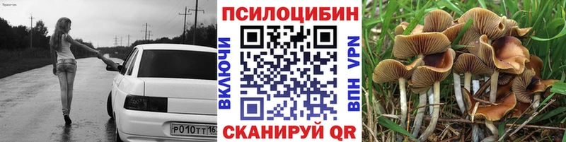 Галлюциногенные грибы Cubensis  как найти   Александров 